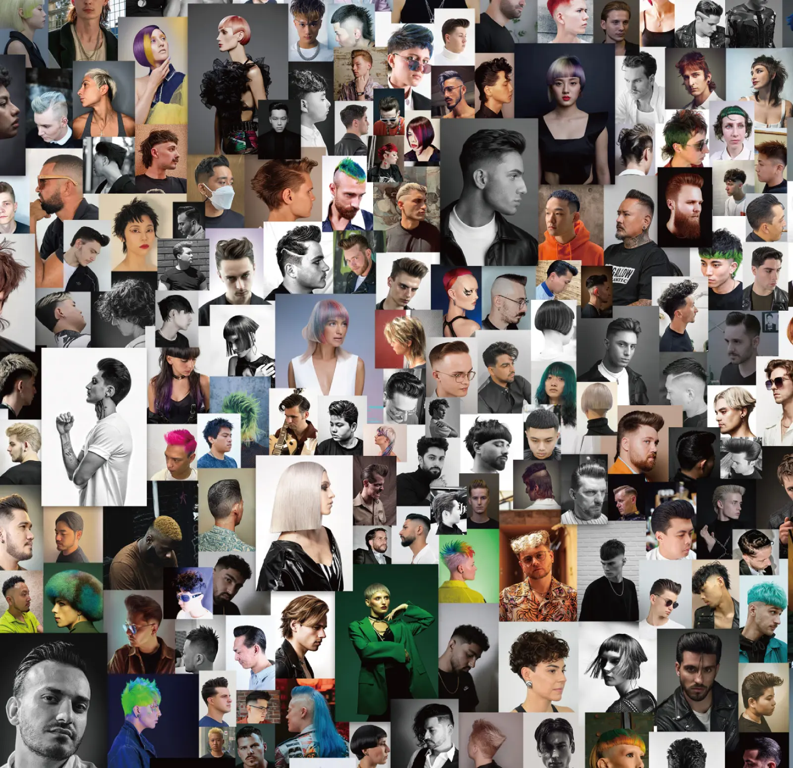 WORLD CUTTING PHOTO CONTEST