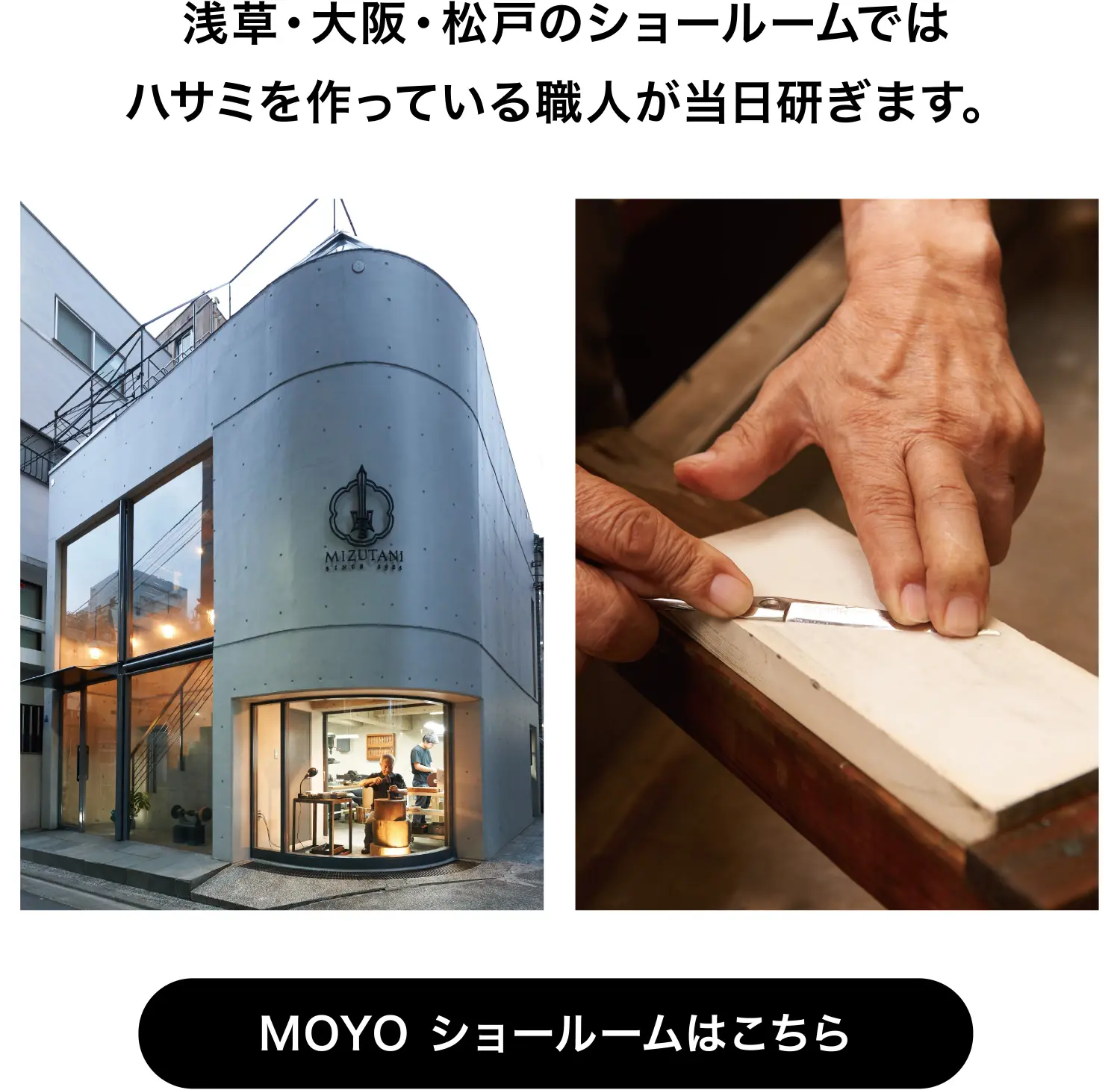 ミズタニのサポート | ミズタニシザーズ