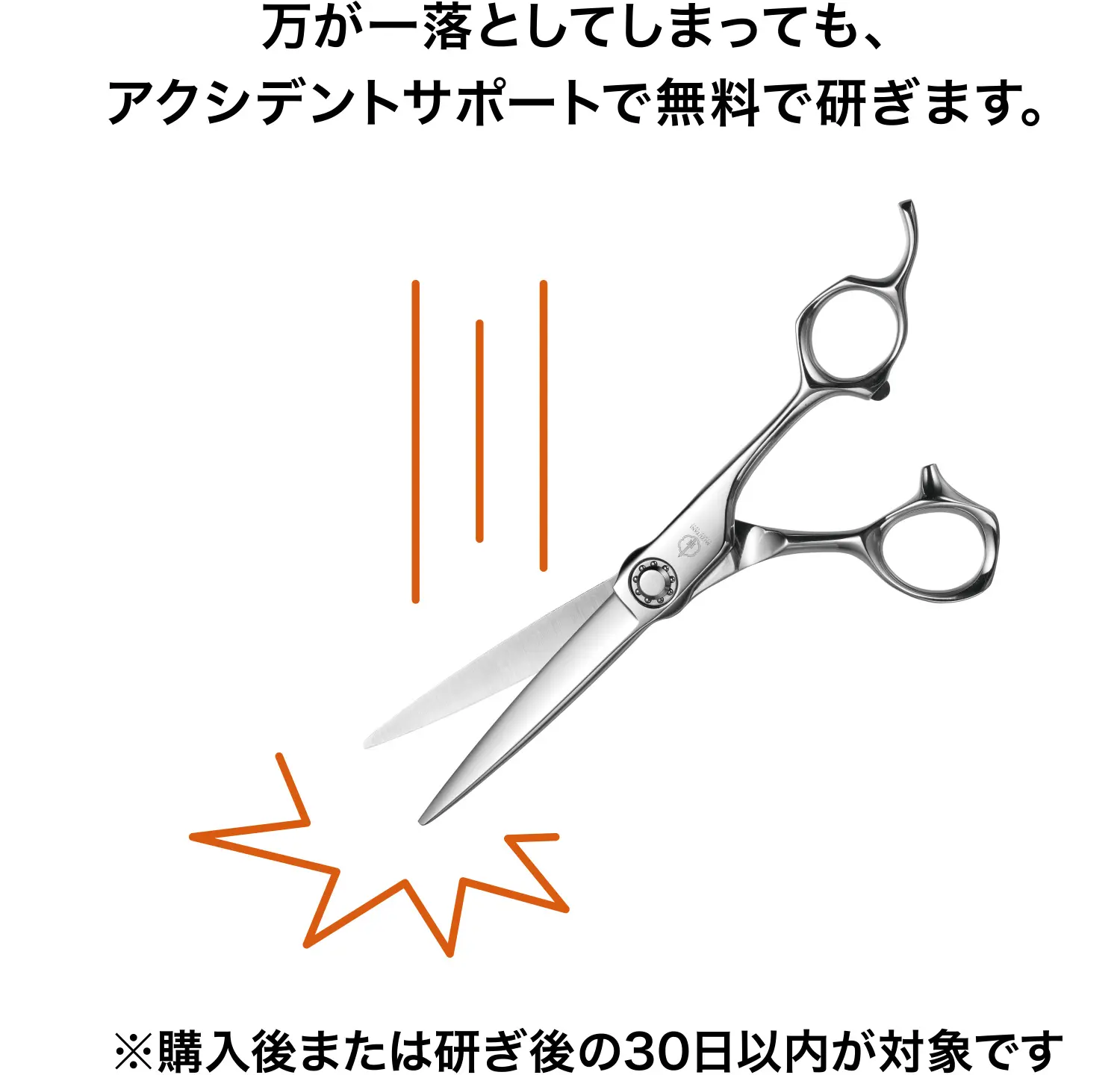 ミズタニのサポート | ミズタニシザーズ