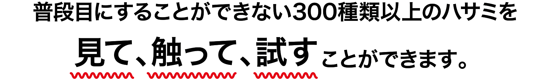 普段目にすることができない300種類以上のハサミを見て、触って、試すことができます。