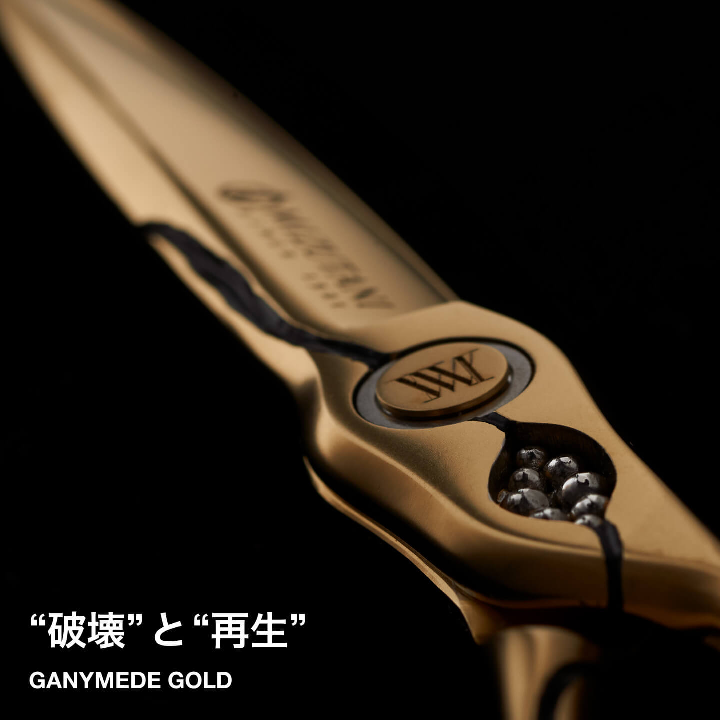 newproducts_250324_cgg.jpg