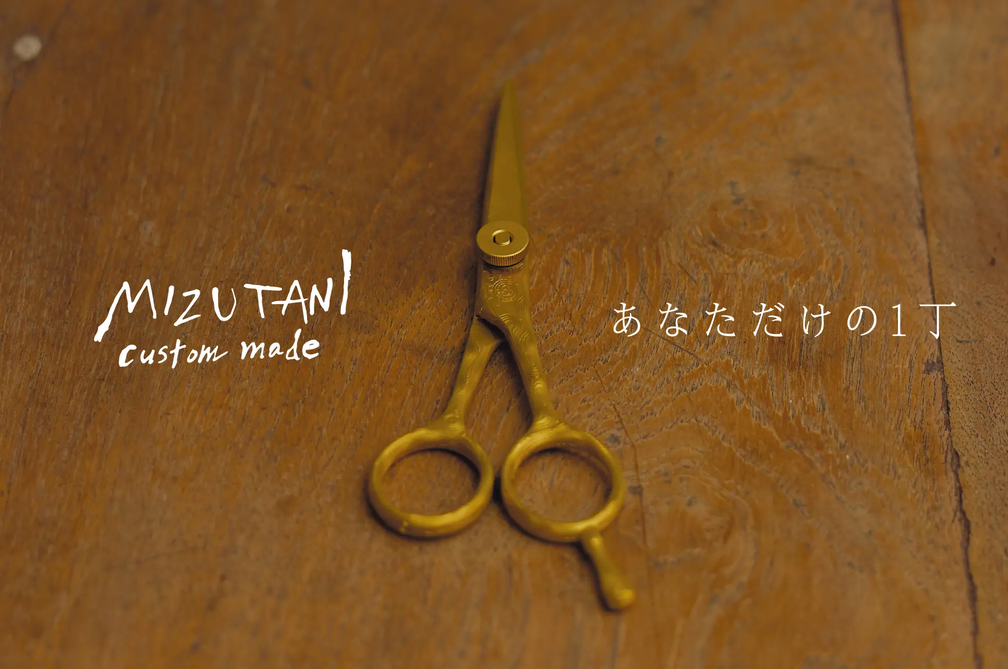特集 カスタムメイド | ミズタニシザーズ