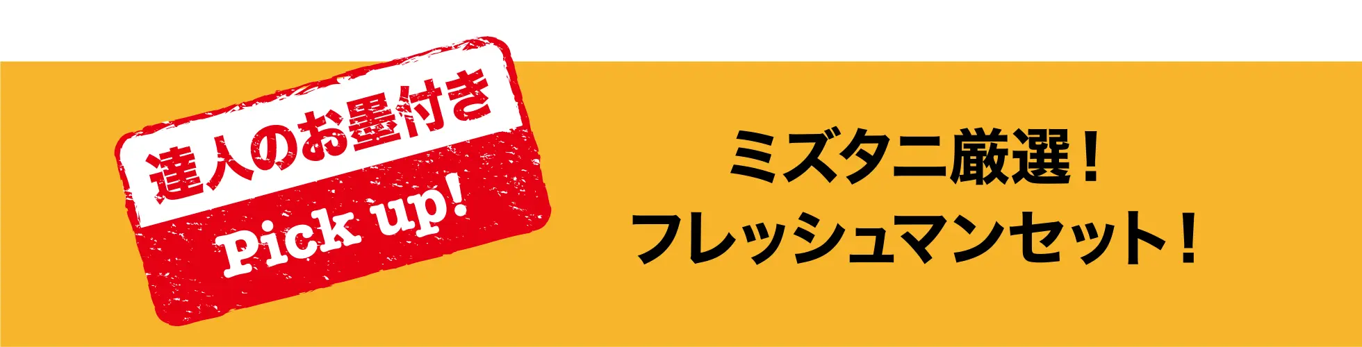 ミズタニ厳選！フレッシュマンセット！