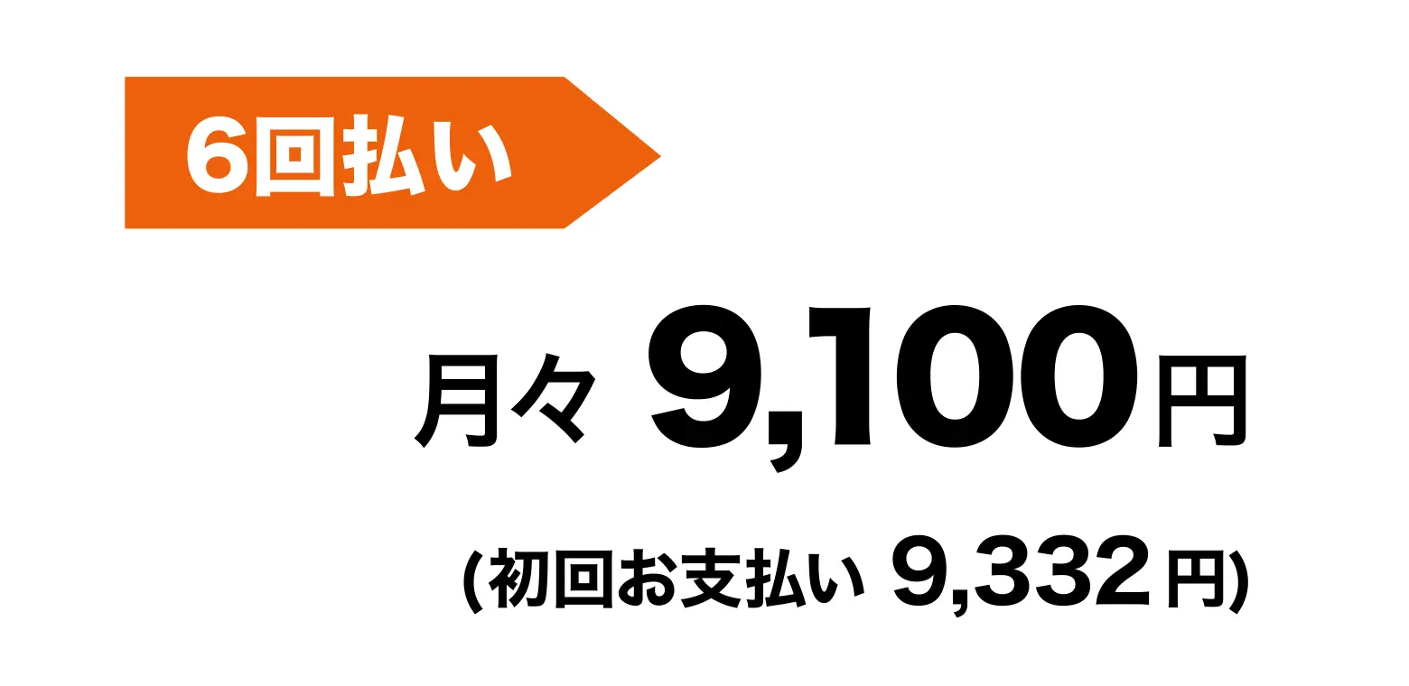 6回払い 月々9,100円