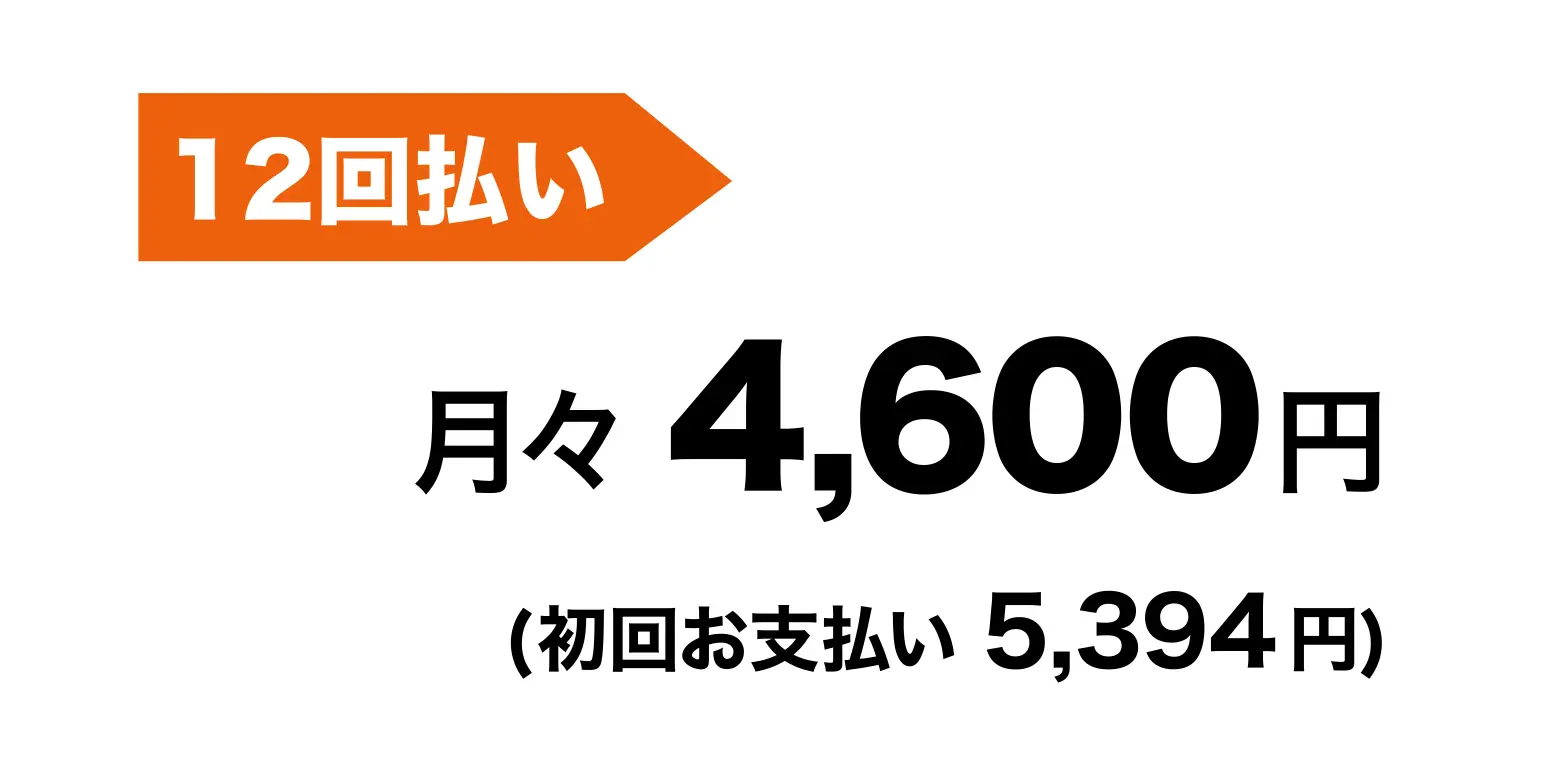 12回払い 月々4,600円