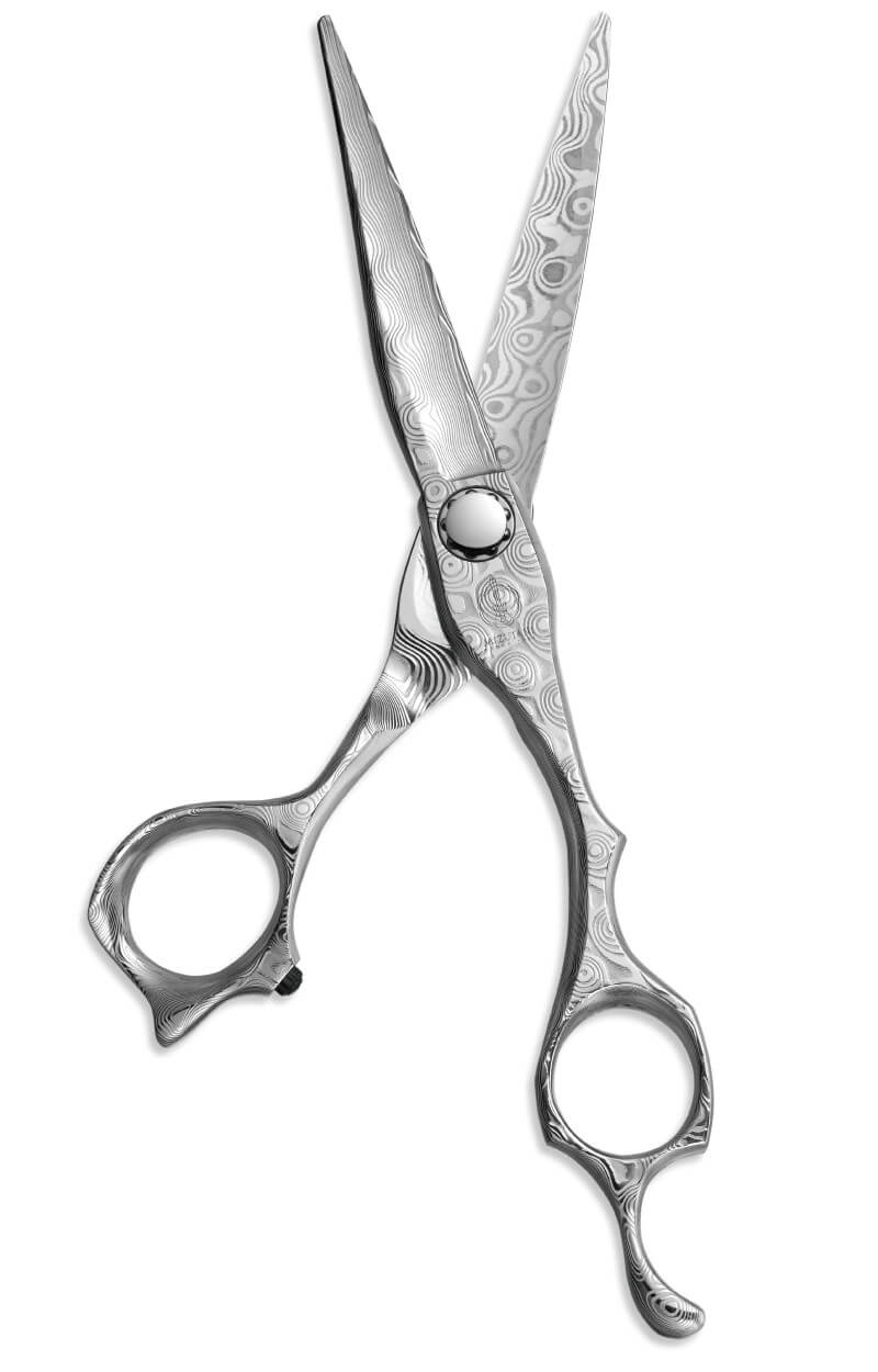 特集 NEW DAMA | ミズタニシザーズ