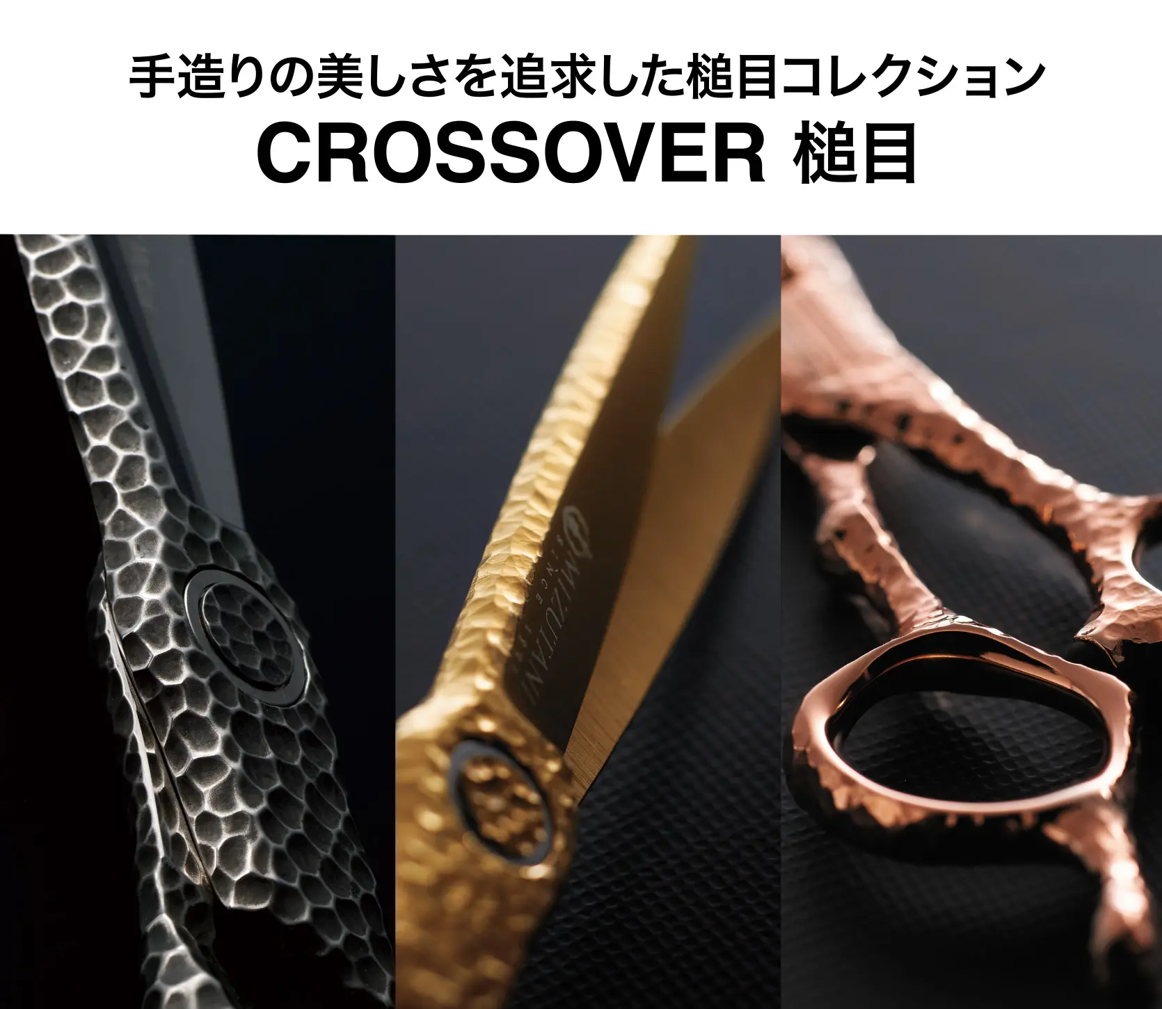 特集 ナノパウダーメタル体感キャンペーン | ミズタニシザーズ