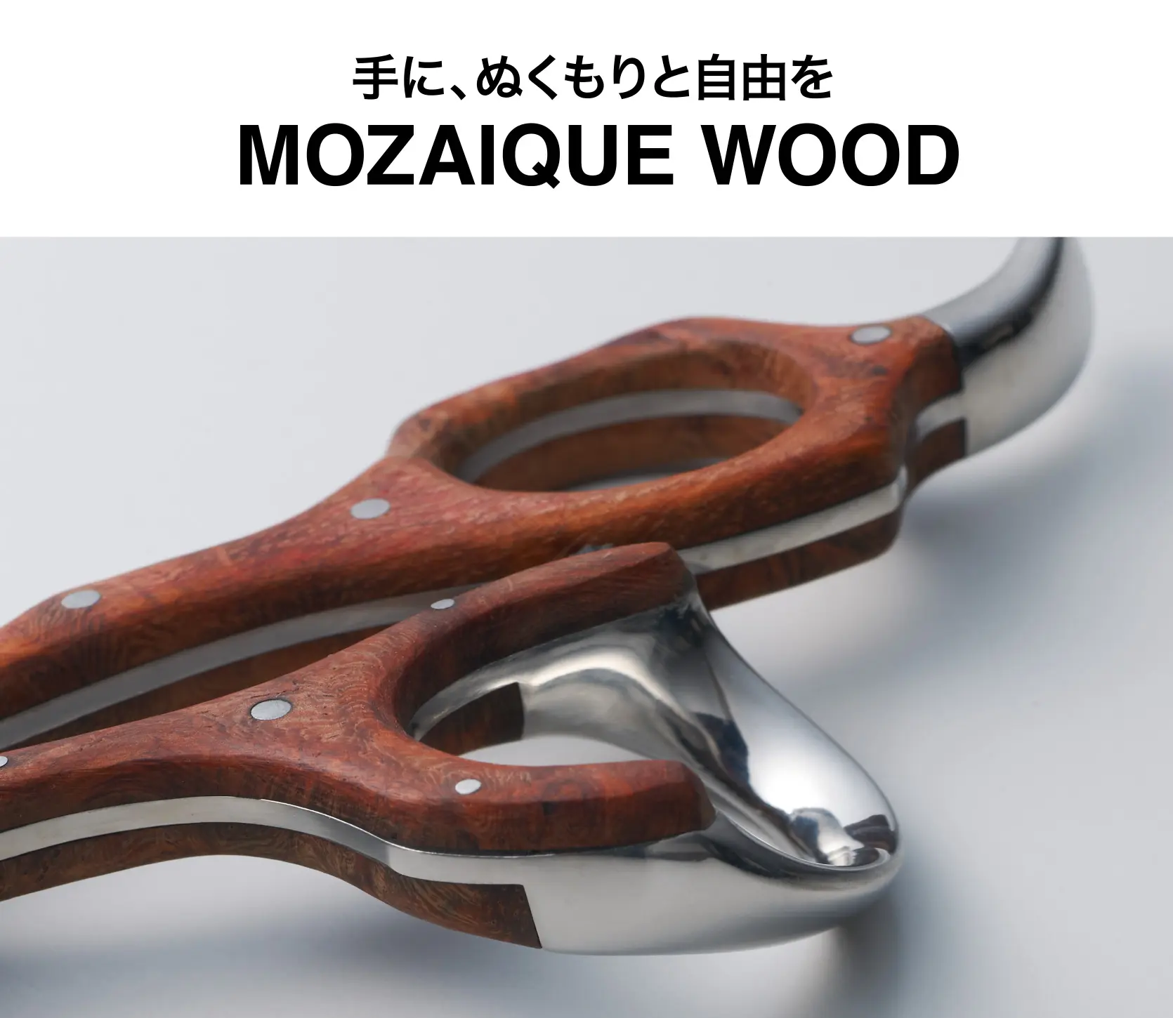 特集 ナノパウダーメタル体感キャンペーン | ミズタニシザーズ