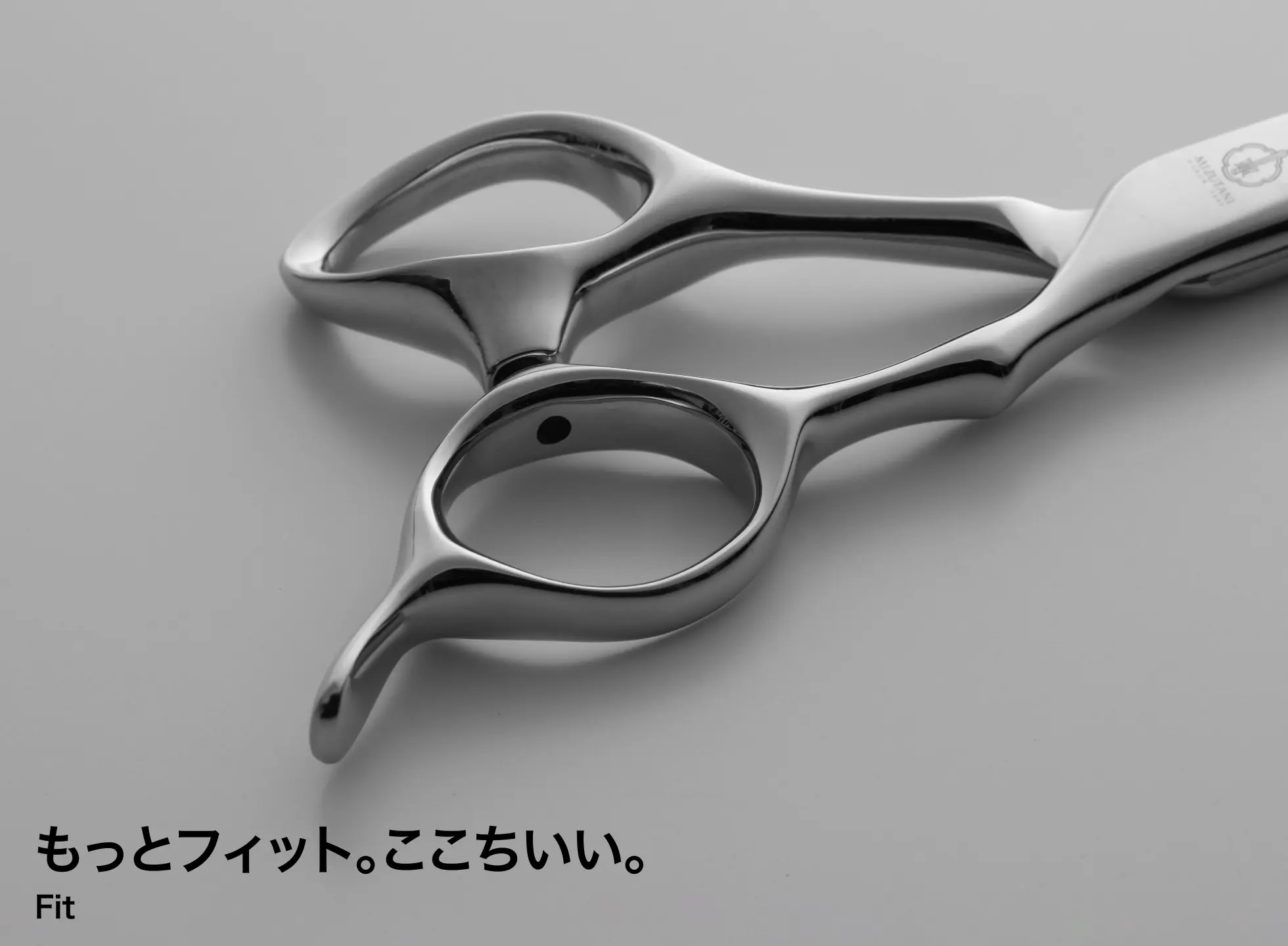 ジュリエット・ホランド : ミクストメディア作品   額装 n2300610_a.jpg